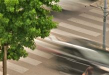 Entroncamento | Mais um caso confirmado, sendo agora 8 os casos ativos, 8 recuperados e 5 em vigilância ativa