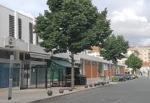 Entroncamento | Sem novos casos, mantém-se os 14 casos confirmados, 8 recuperados e 6 em vigilância ativa