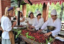 Edição de 2020 das Pomonas Camonianas em Constância canceladas