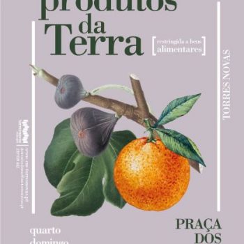 Produtos-da-Terra_covid19_cartaz final