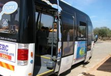 Entroncamento | TURE com horários regulares não escolares a partir de dia 1 de junho