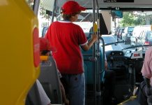 Rede de transportes para todos os passageiros do Médio Tejo com novo aumento da oferta a partir de 1 de junho