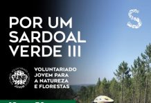 Município de Sardoal promove Programa de Voluntariado para a Floresta