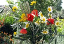 Constância | Quinta-feira da Ascensão assinalada de forma virtual