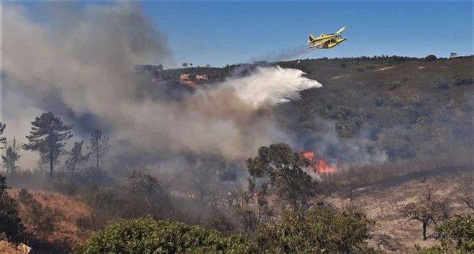 104697035_264262058239982_6741504552038583362_n