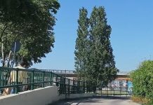 Entroncamento | Mais 1 caso confirmado, sendo agora 11 os casos ativos, num total de 19