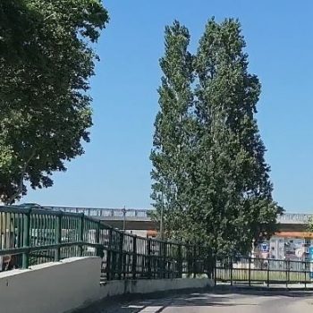 EntroncamentoCovid124