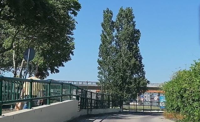 EntroncamentoCovid124