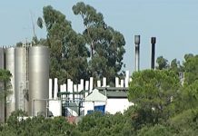 BE anuncia que “Tribunal decreta encerramento da Fabrioleo”