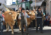 Festa da Bênção do Gado é finalista regional das 7 Maravilhas da Cultura Popular