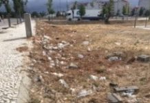 Entroncamento | Plástico atirado para a beira da rua, junto ao E’Leclerc