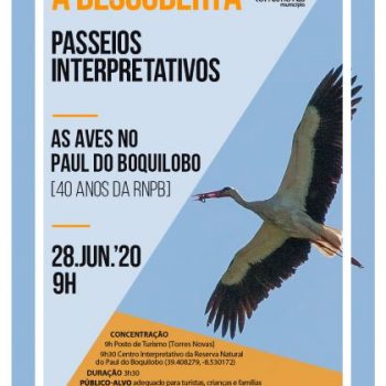 Passeios_DescobertaNatureza_PaulBoquilobo