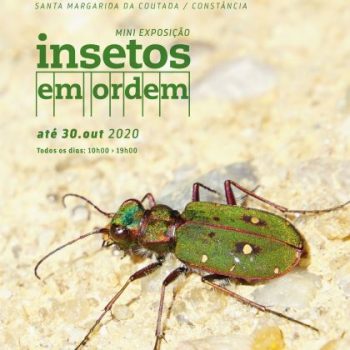 Cartaz_Insetos_em_Ordem_Agosto