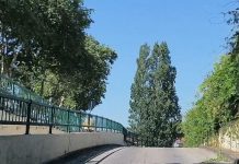 Entroncamento | Situação mantém-se | Mais um dia sem novos casos com Covid-19