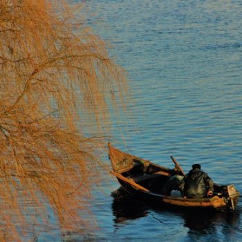 Expo_JoseAlfredo_A4Corte