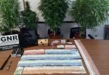 Pego | Detido homem de 26 anos por tráfico de estupefacientes e posse de notas falsas