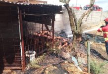 Retificação | Entroncamento | Incêndio em detritos não foi na Quinta das Vendas