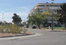 Entroncamento | 85 casos ativos com Covid-19 e 43 em vigilância ativa