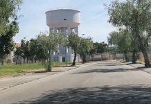 Entroncamento | Mais 15 casos com Covid-19, sendo agora 25 os casos ativos e 7 casos em vigilância ativa