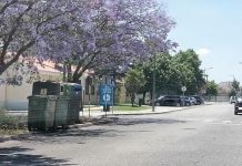 Entroncamento | Sem novos casos de Covid-19 nas últimas 48 horas