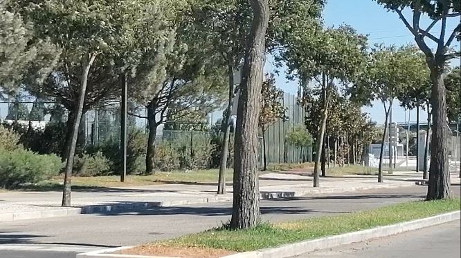 EntroncamentoCovid275