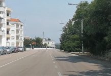 Entroncamento | Mais três casos com Covid-19, num total de 34 e 35 em vigilância ativa