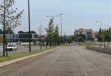 Entroncamento | Mais 14 novos casos de Covid-19 num total de 40 casos ativos e 72 em vigilância ativa