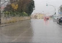 Entroncamento | Sem novos casos de Covid-19 e menos 15 caso em vigilância ativa