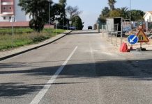 Entroncamento | Mais 5 novos casos de Covid-19 e mantêm-se os 73 casos em vigilância ativa