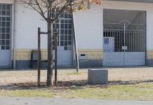 Entroncamento | Segundo dia sem novos casos de Covid-19 e menos 20 casos em vigilância ativa