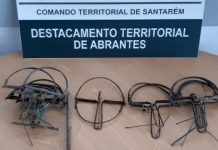 Sardoal | Detido homem de 51 anos por caça ilegal