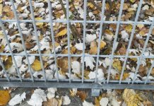 Entroncamento | Segundo dia sem novos casos de Covid-19 e menos 1 em vigilância ativa