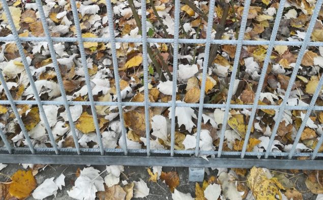 WhatsApp Image 2020-11-14 at 10.28.43 (1)