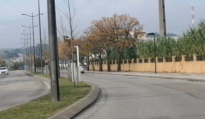 EntroncamentoCovid437