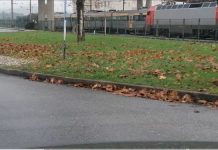 Entroncamento | Oito novos casos de Covid-19 e mais 3 casos em vigilância ativa