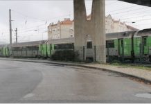 Entroncamento | Sem registo de novos casos de Covid-19 e menos 3 casos em vigilância ativa