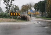 Entroncamento | Três novos casos de Covid-19 e mais 7 casos em vigilância ativa