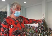 Entroncamento | Maria João e Joaquim Santos fazem presépio com mais de mil figuras