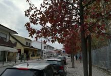 Entroncamento | Quatro novos casos de Covid-19 e 3 novos casos em vigilância ativa