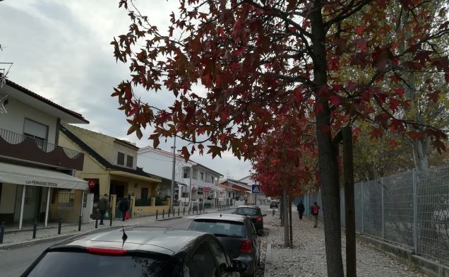 WhatsApp Image 2020-11-14 at 10.28.43 (2)