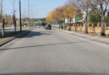 Entroncamento | Cinquenta e dois novos casos de Covid-19 e menos 5 casos em vigilância ativa