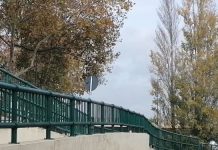 Entroncamento | Dezoito novos casos de Covid-19 e mais 10 casos em vigilância ativa