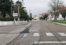 Entroncamento | Catorze novos casos de Covid-19 e menos 8 casos em vigilância ativa