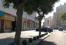 Entroncamento | Sem novos casos de Covid-19 e mais 2 casos em vigilância ativa