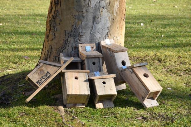 ProjetoNapa_TNovas (2)