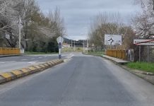 Entroncamento | Dois novos casos de Covid-19 e menos 1 caso em vigilância ativa