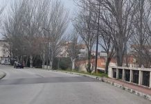 Entroncamento | Um novo caso de Covid-19 e menos 5 casos em vigilância ativa