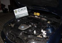 Abrantes | Casal detido por tráfico de estupefacientes