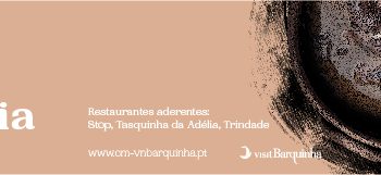 MêsSável800x160