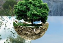 WEBINAR – 10ª Reunião do Observatório Ambiental de Alcanena |Dia 25 de fevereiro de 2021, às 14:30h